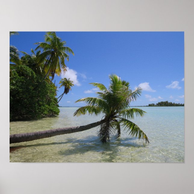 Poster Palmier de Rangiroa (Devant)