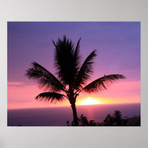 Poster Palmier hawaïen et coucher de soleil coloré