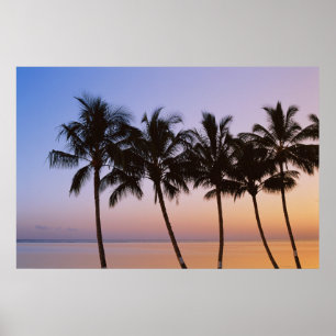 Poster Palmier, matin