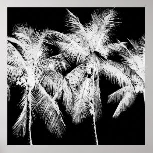 Poster Palmier tropical d'été hawaii noir et blanc
