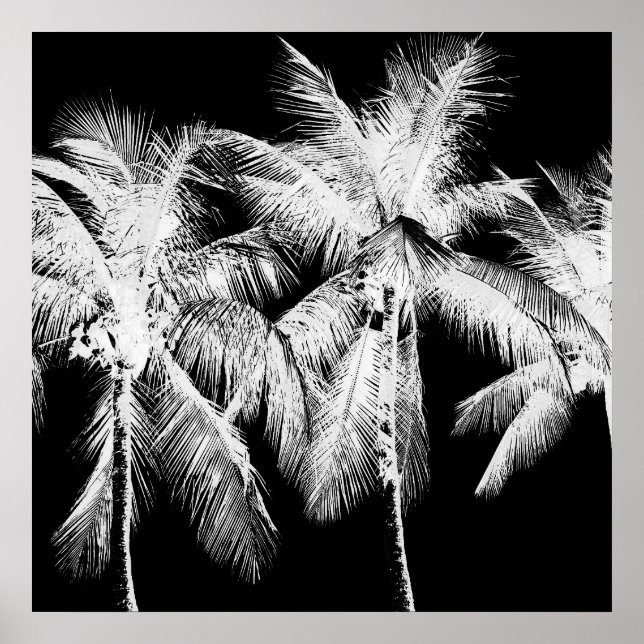 Poster Palmier tropical d'été hawaii noir et blanc (Devant)