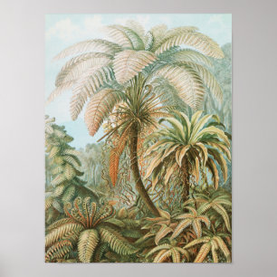 Poster Palmier tropical vintage, Botanique rétro