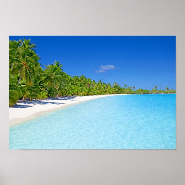 Poster Palmier vert luxuriant Île tropicale Paradis (Devant)