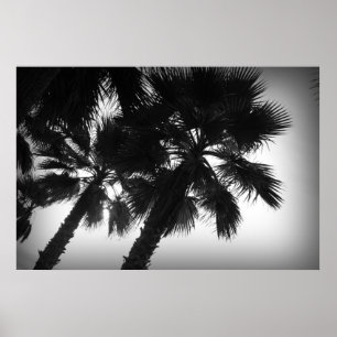 Poster Palmiers