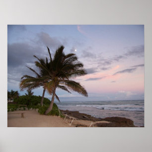 Poster Palmiers au paradis