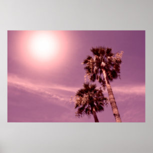 Poster Palmiers au soleil