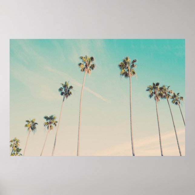 Poster Palmiers au vent Photo (Devant)