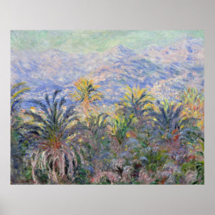 Poster Palmiers chez Bordighera - Claude Monet