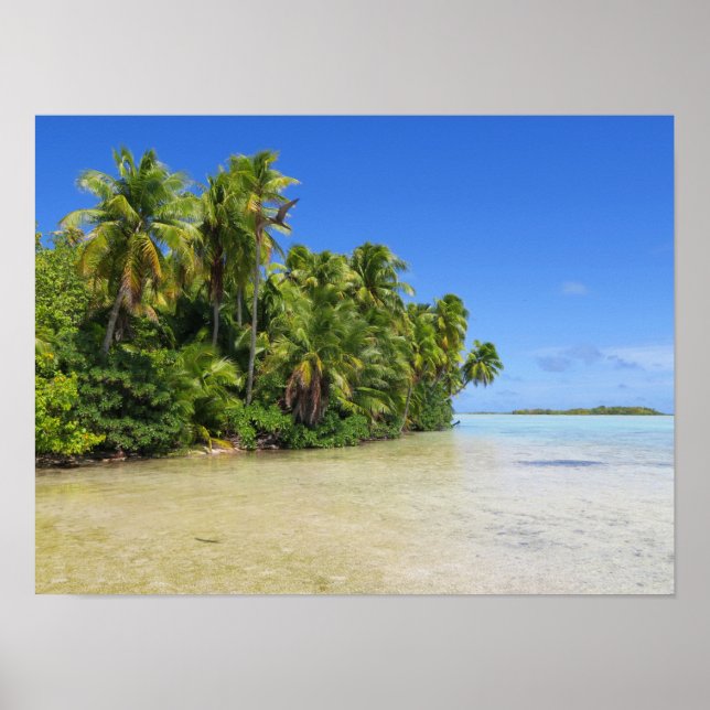 Poster Palmiers de Rangiroa (Devant)