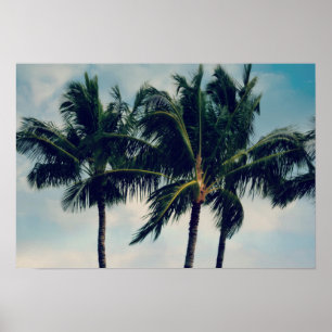 Poster Palmiers d'Hawaii
