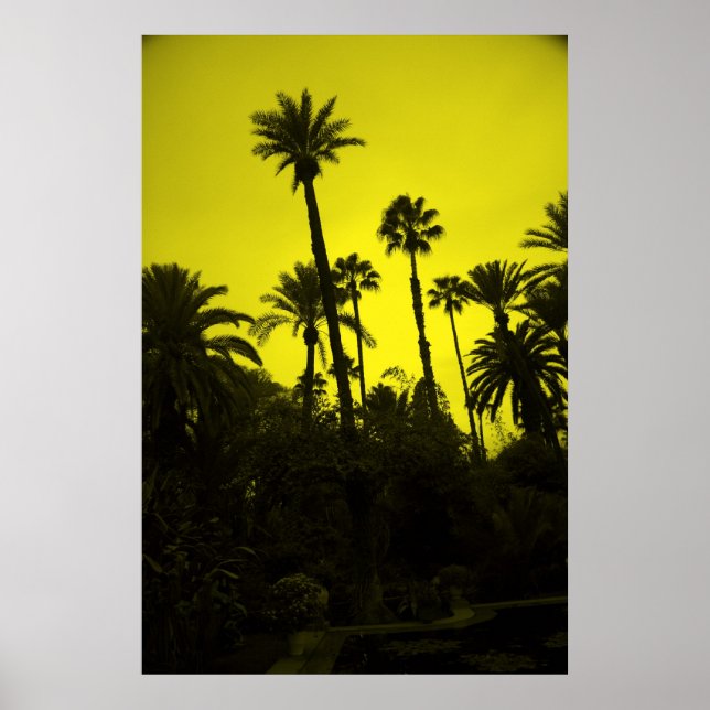 Poster Palmiers du Maroc (Devant)