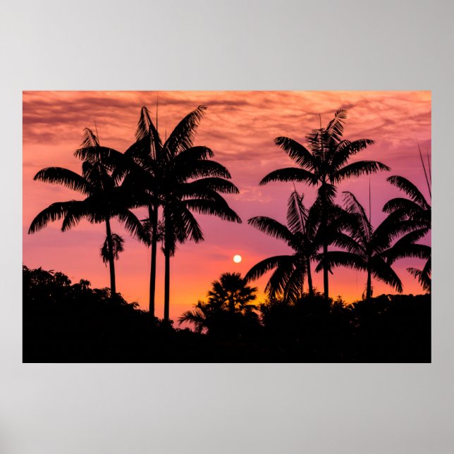 Poster Palmiers en silhouette, Hawaii (Devant)