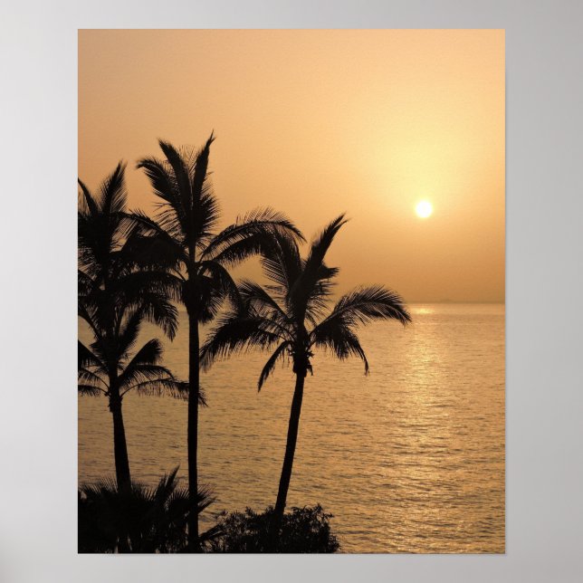 Poster Palmiers et coucher de soleil romantique (Devant)