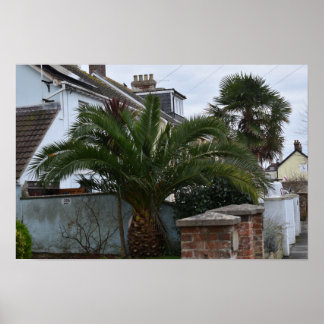 Poster Palmiers et plantes exotiques à Selsey.