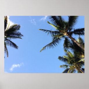 Poster Palmiers Hawaiian Exotic Beach