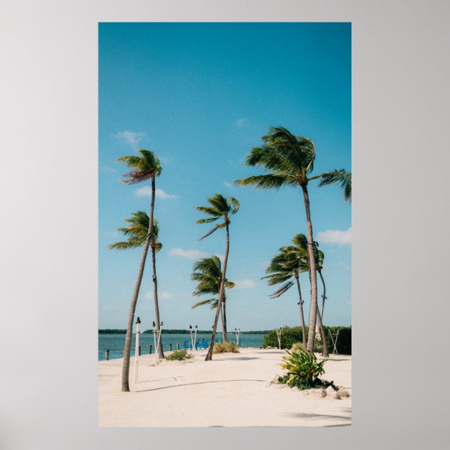 Poster Palmiers le matin sur la plage (Devant)