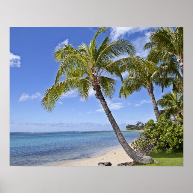 Poster Palmiers sur la plage d'Hawaii. (Devant)