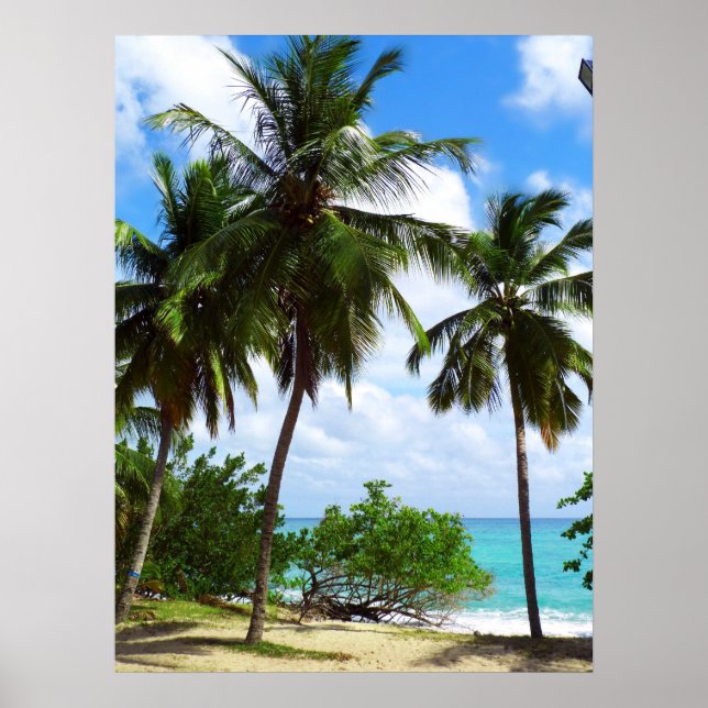 Poster Palmiers sur l'affiche du paysage marin tropical (Devant)
