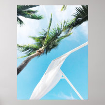Palmiers tropicaux sous ciel bleu Photographie