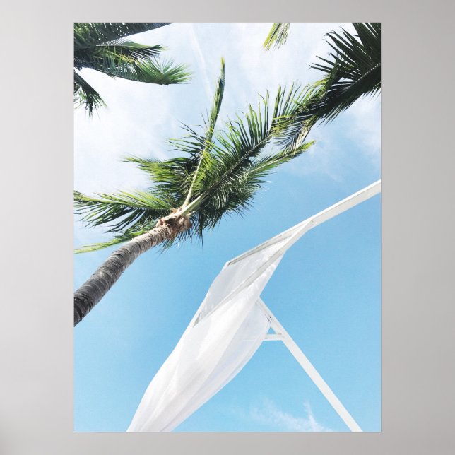 Poster Palmiers tropicaux sous ciel bleu Photographie (Devant)