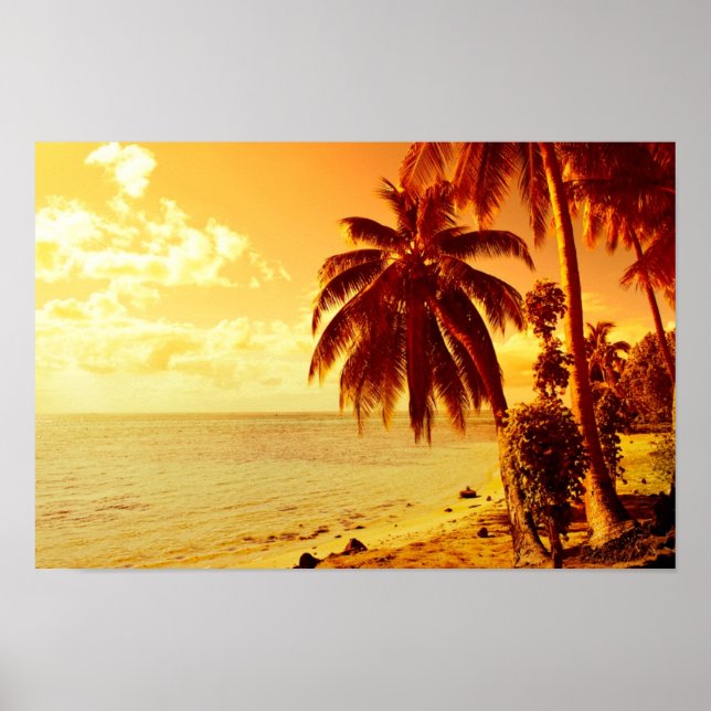 Poster Palmiers tropicaux sur une plage à l'affiche du co (Devant)