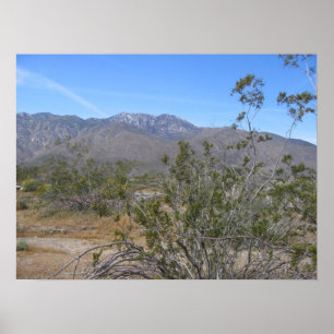 Poster PalmSprings (26)