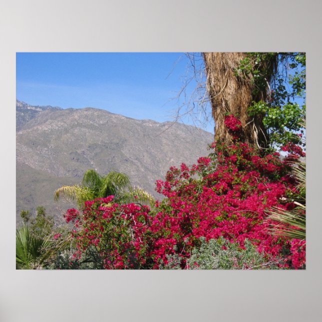 Poster PalmSprings (4) (Devant)