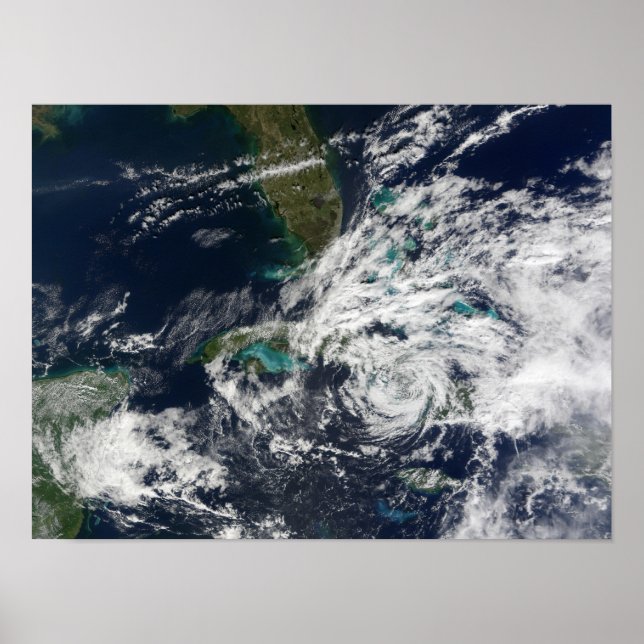 Poster Paloma, ouragan (Devant)