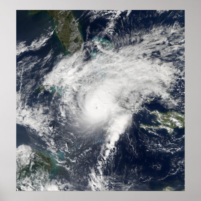 Poster Paloma, ouragan (Devant)