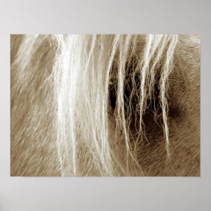 Poster Palomino De Sepia