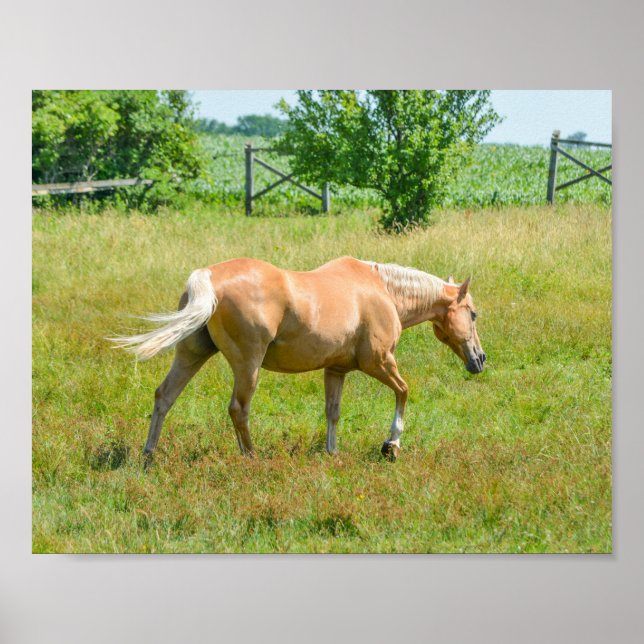 Poster Palomino Farm Horse (Devant)