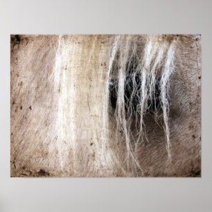 Poster Palomino Horse Grunge