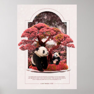 Poster Panda géant