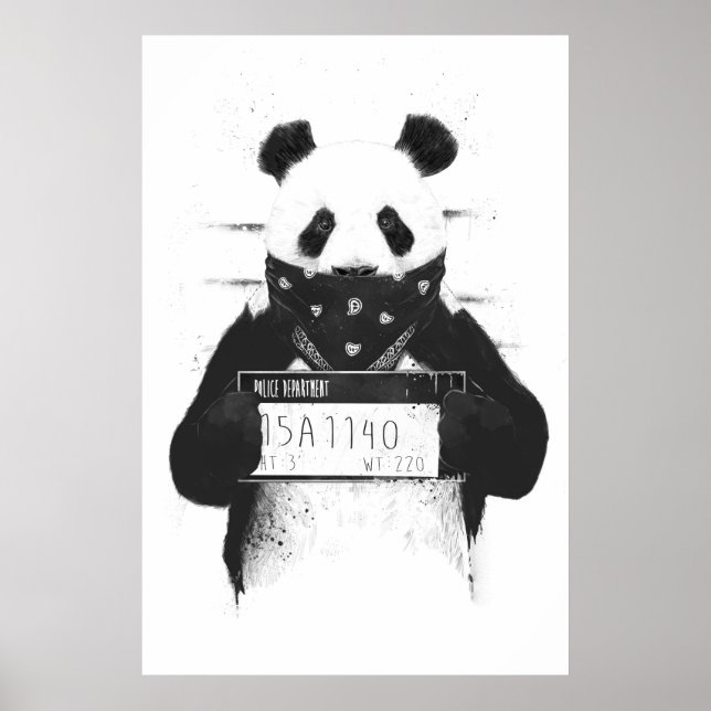 Poster Panda incorrecte (Devant)