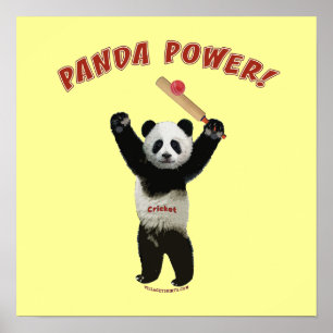 Poster Panda Power de cricket