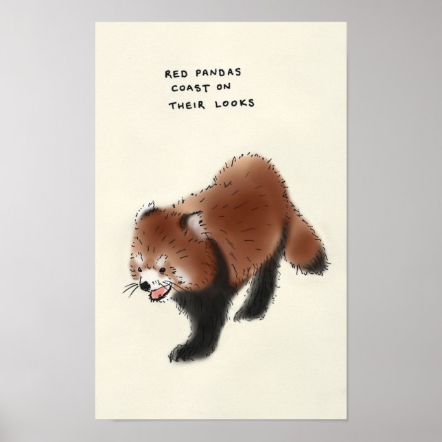 Poster panda rouge (Devant)