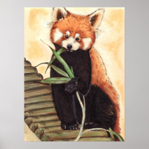 Poster Panda rouge Nom