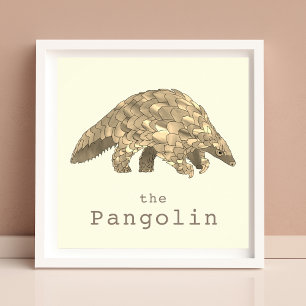 Poster Pangolin Menacé Les Droits Des Animaux Activisme A