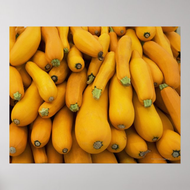 Poster Panier de courgettes jaunes (Devant)