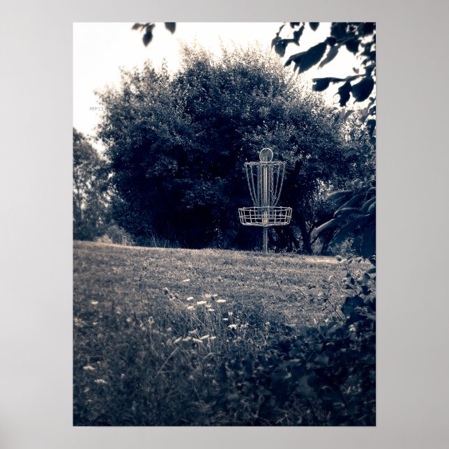 Poster Panier de golf Frisbee Disk (Devant)
