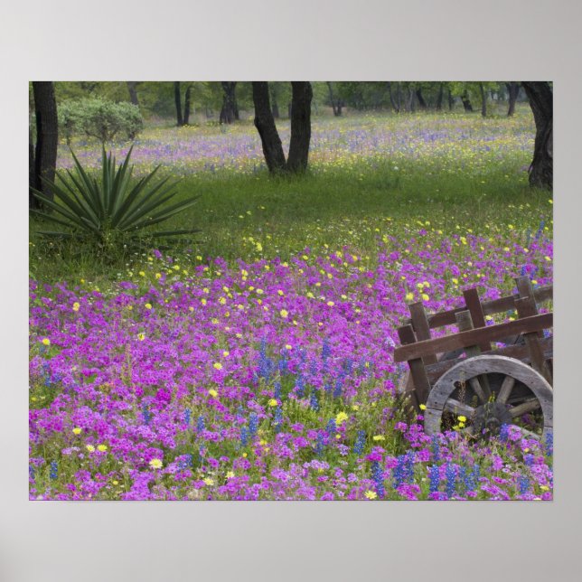 Poster Panier en bois dans le champ de Phlox, Bonnets Ble (Devant)