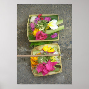 Poster Paniers de offre de Balinese