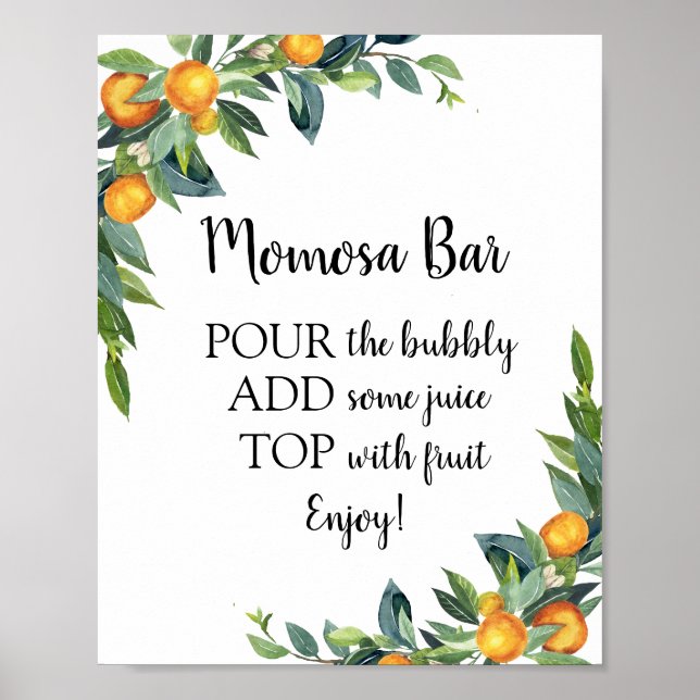 Poster Panneau boisson Momosa Bar Baby shower (Devant)