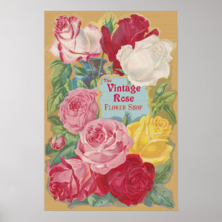 Poster Panneau Boutique Vintage Rose