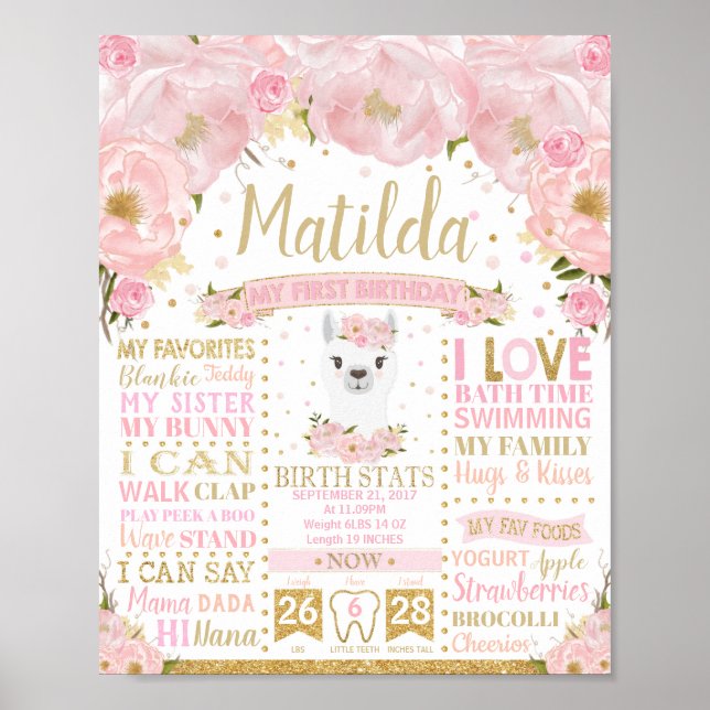 Poster Panneau de statistiques de naissance pour le 1er a (Devant)