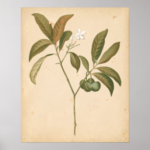 Poster Panneau Décor Cobalt I