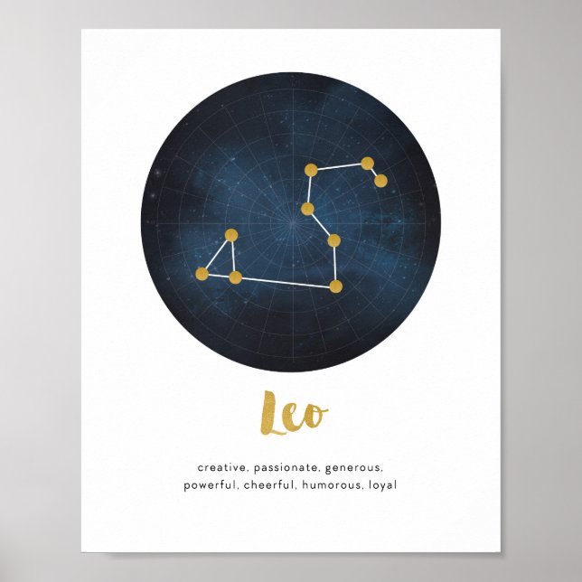 Poster Panneau Leo (Devant)