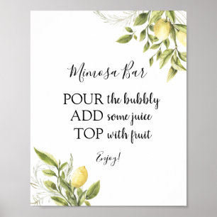 Poster Panneau principal Squeeze Lemon Mimosa Bar Boisson