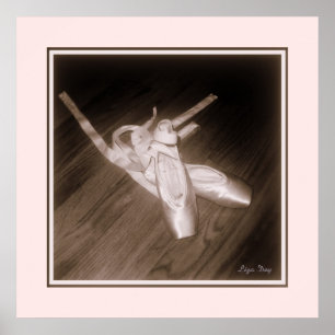 Poster Panneau 'Toe Shoes' (Rose)