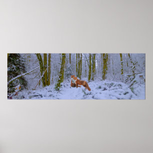 Poster Panorama